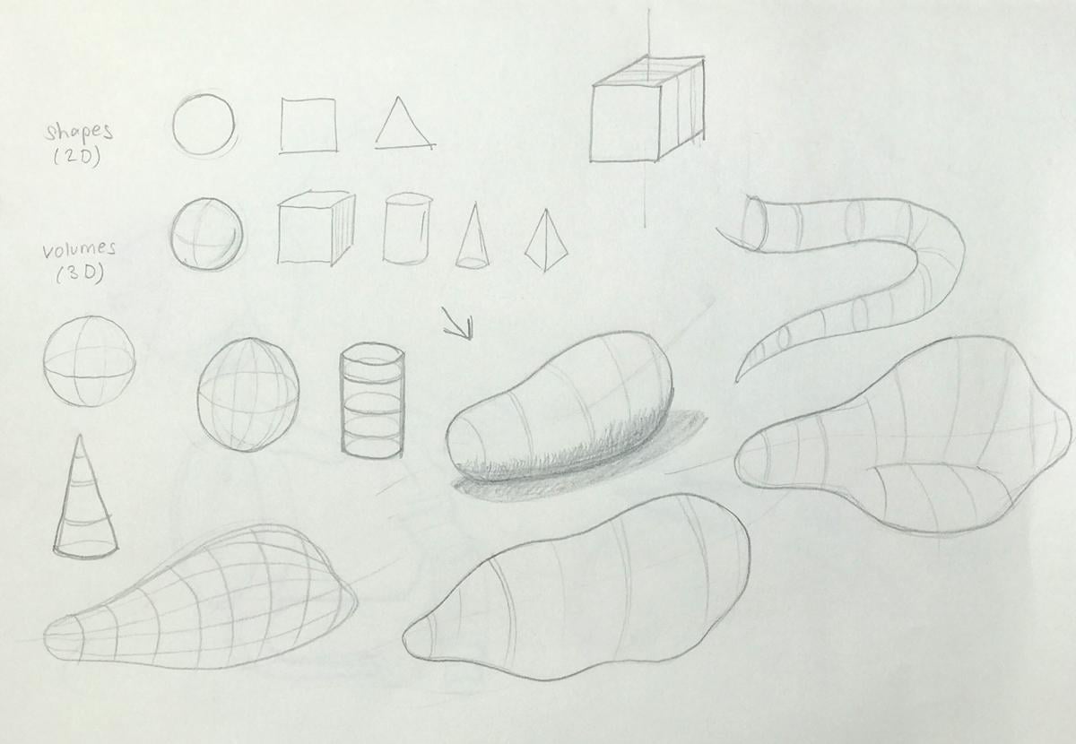 Sketching nature exercises + demos - image 8 - student project