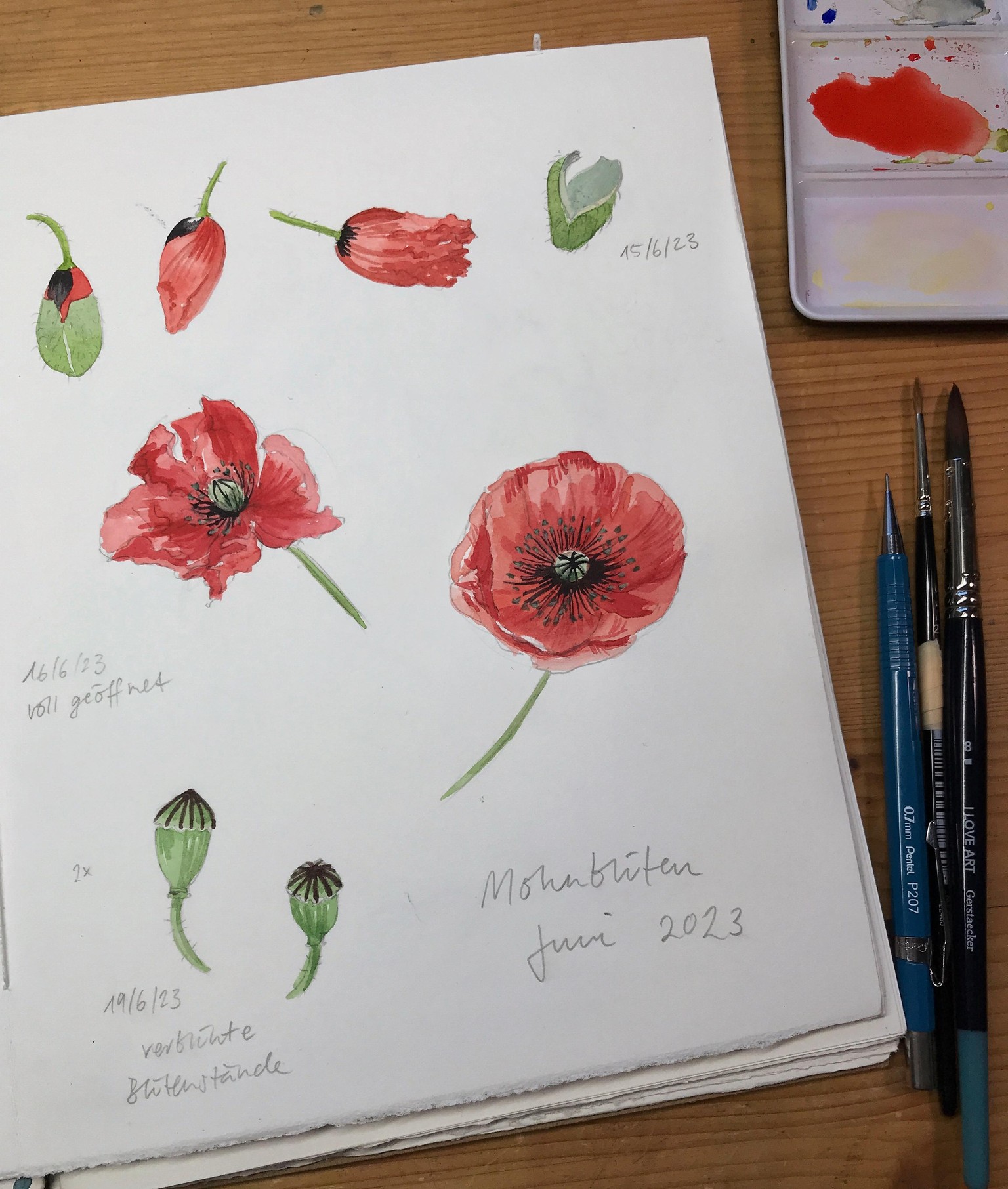Loose but precise watercolor flowers - image 1 - student project