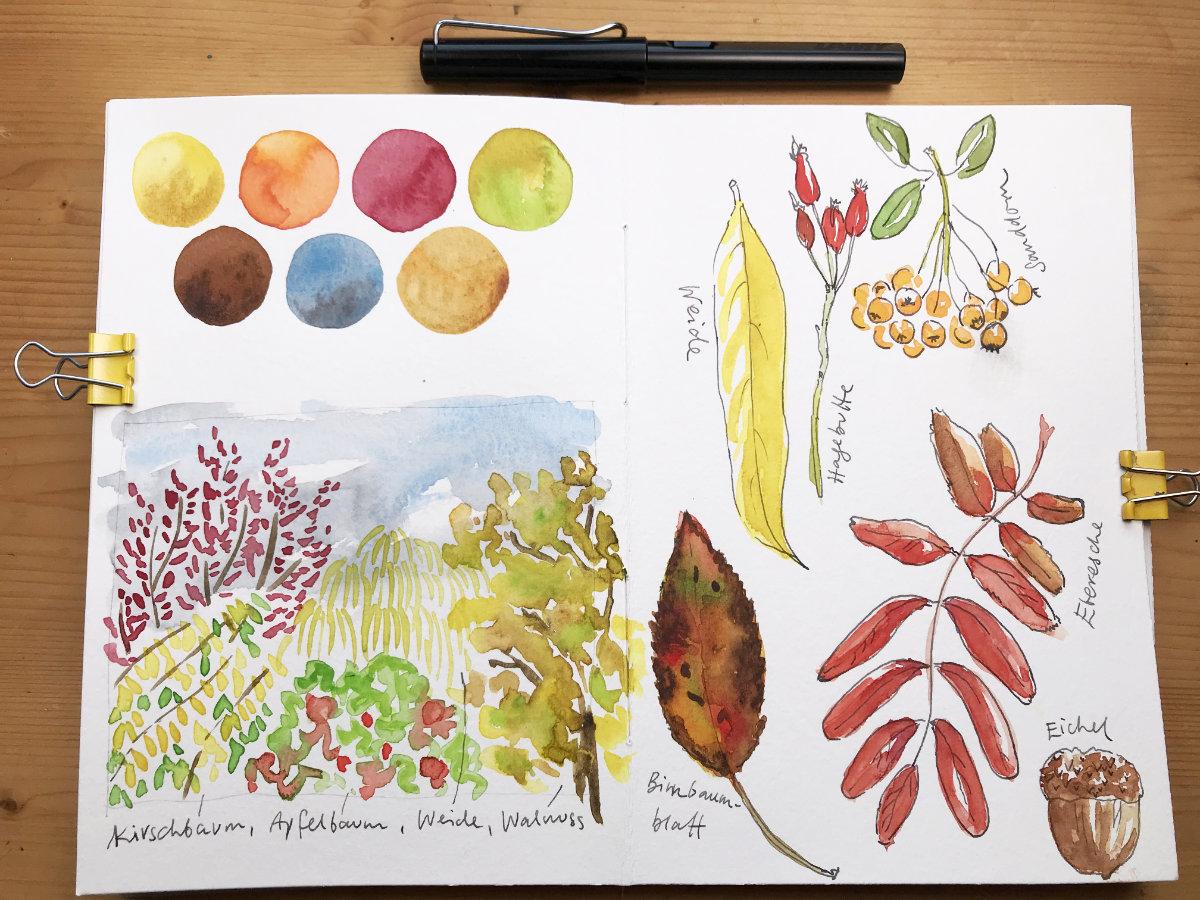 Nature Journaling in Autumn - image 1 - student project