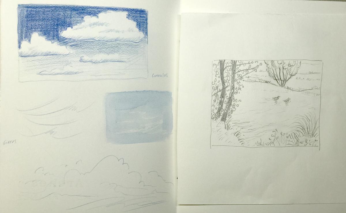 Sketching nature exercises + demos - image 29 - student project