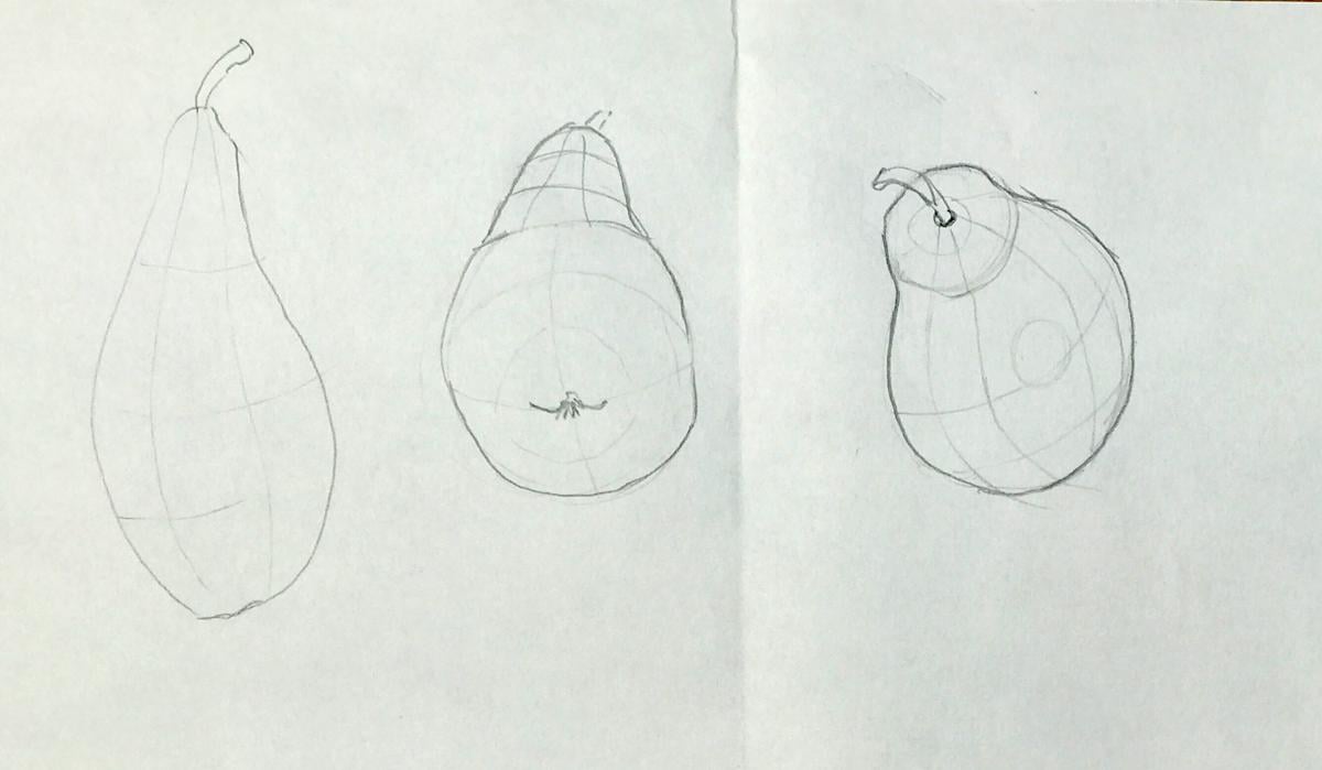 Sketching nature exercises + demos - image 10 - student project