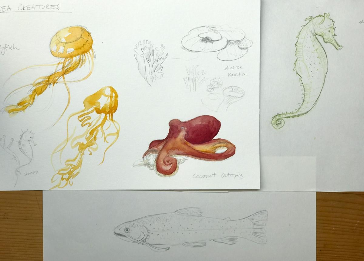 Sketching nature exercises + demos - image 23 - student project