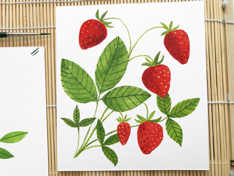 3 different berries in watercolor + ink - image 3 - student project