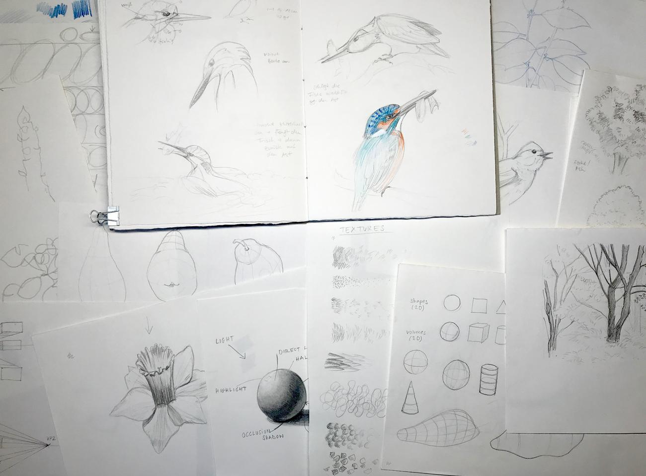 Sketching nature exercises + demos - image 30 - student project