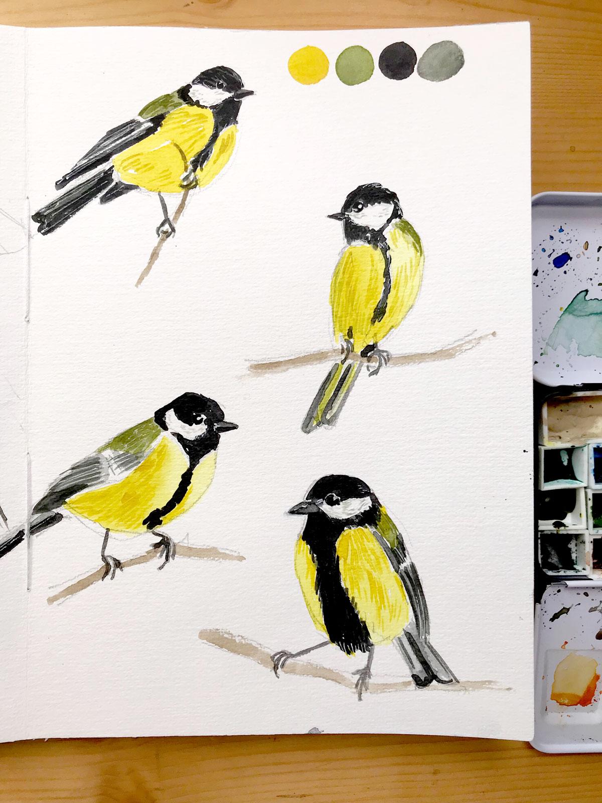 Drawing And Painting Birds - image 4 - student project