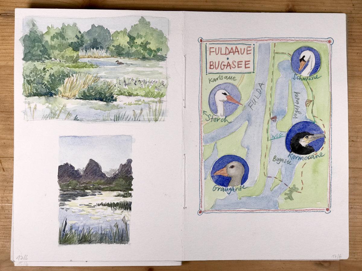 Sketching nature in summer - image 5 - student project
