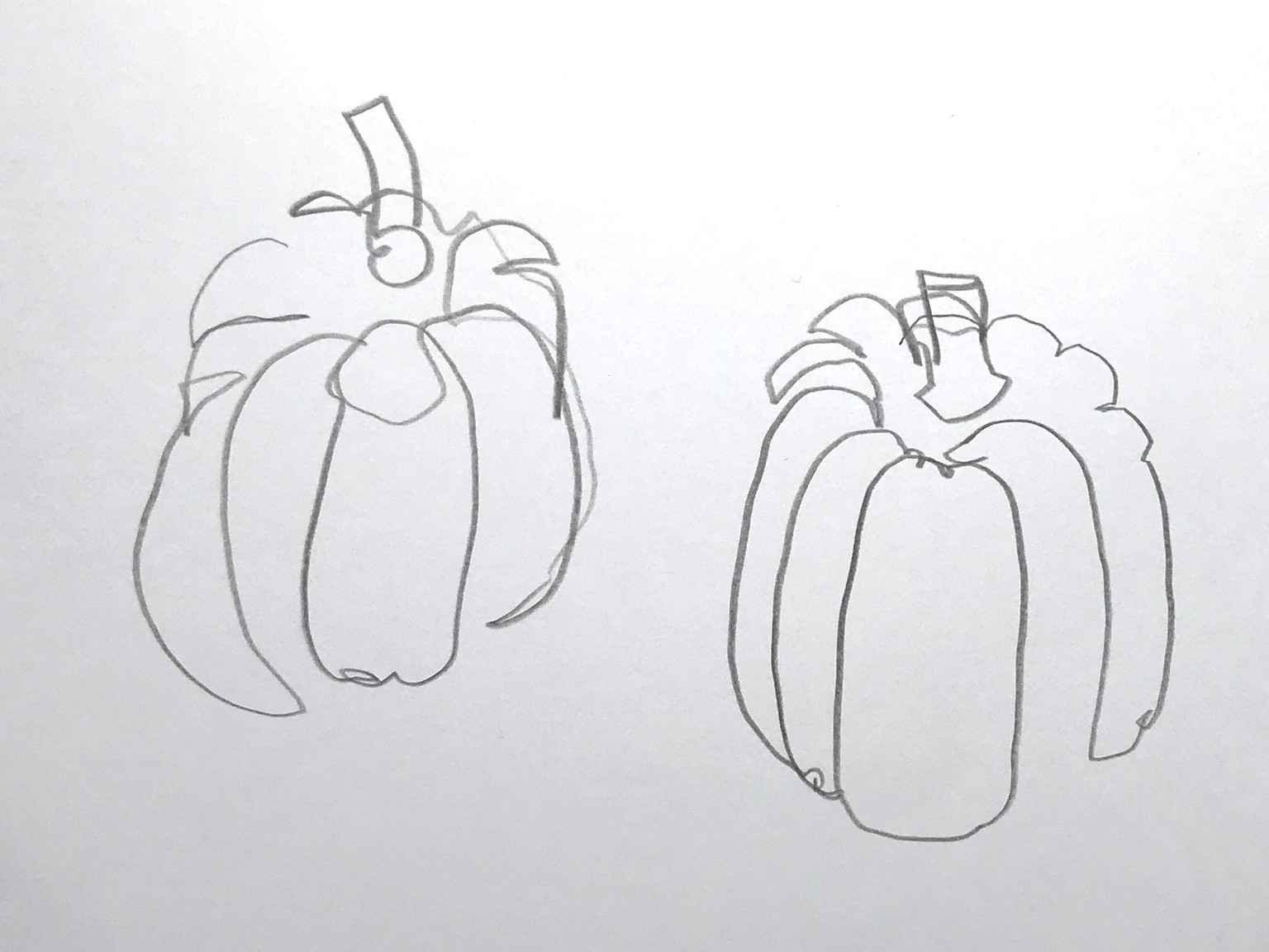 My blind contour drawings - image 3 - student project