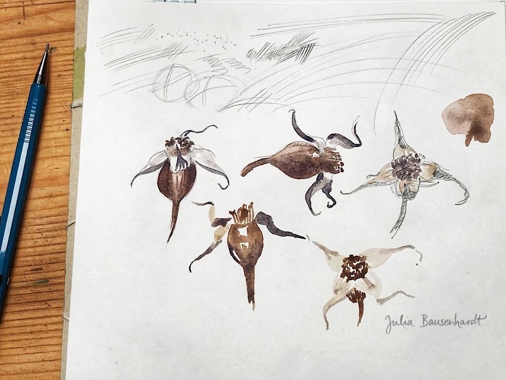 Creative habits - sketches and warm-ups - image 2 - student project