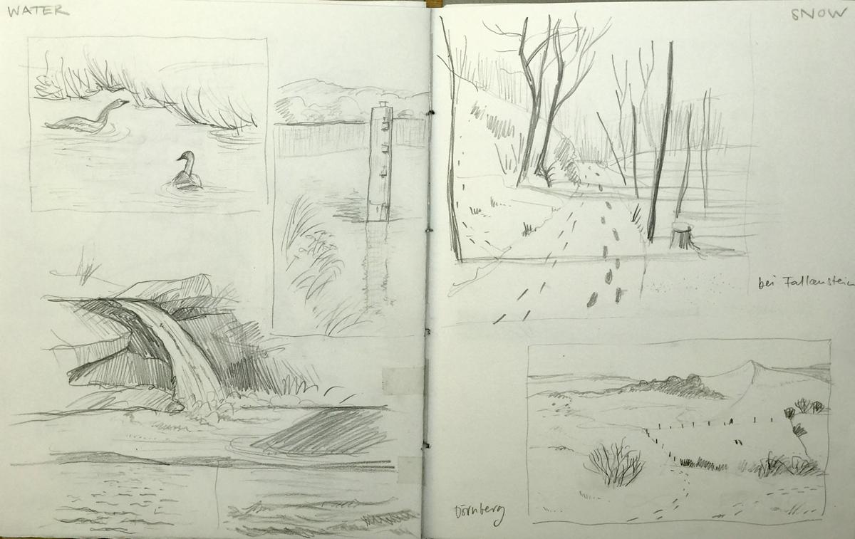 Sketching nature exercises + demos - image 28 - student project