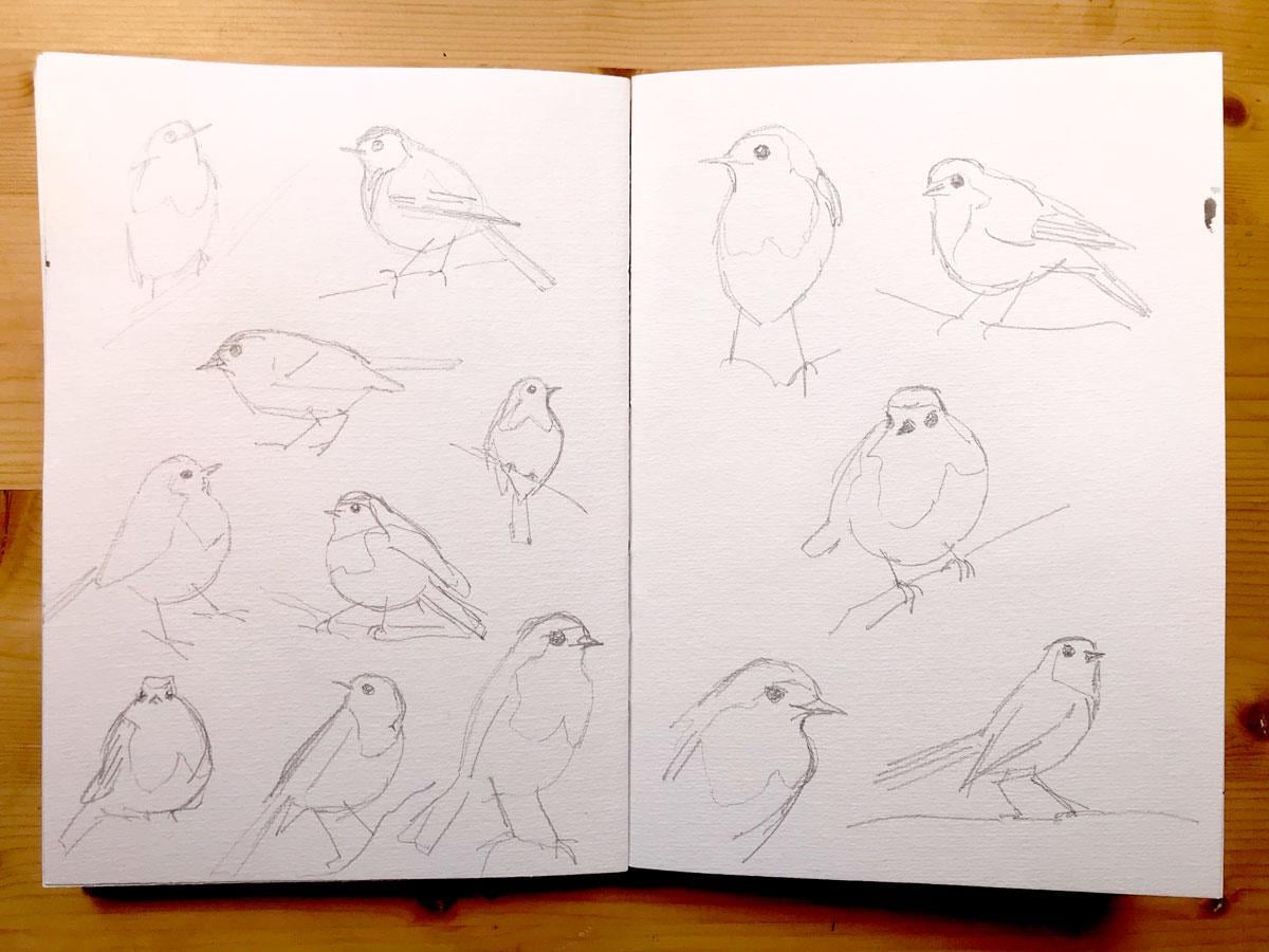Drawing And Painting Birds - image 1 - student project