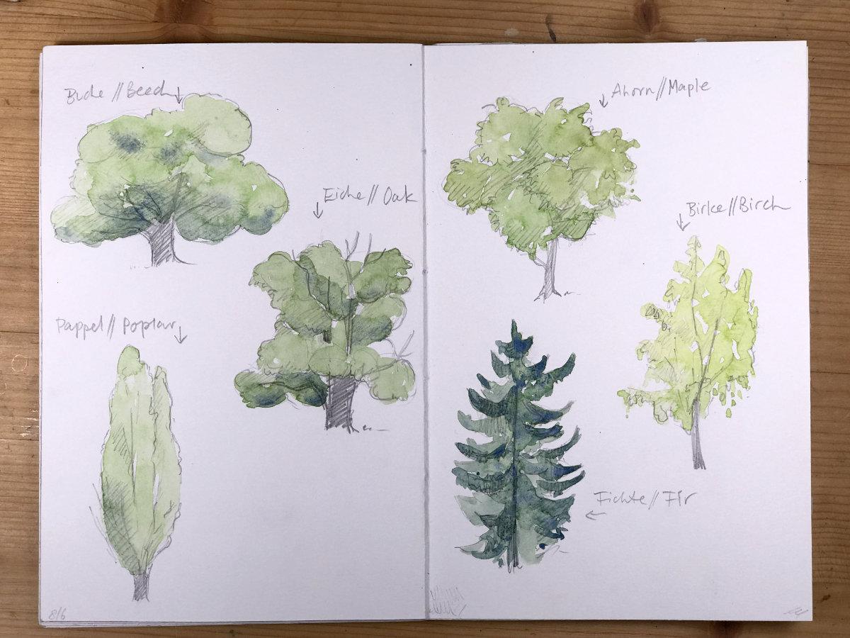 Sketching nature in summer - image 2 - student project