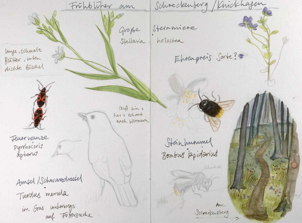 Nature Sketching Compositions - image 5 - student project