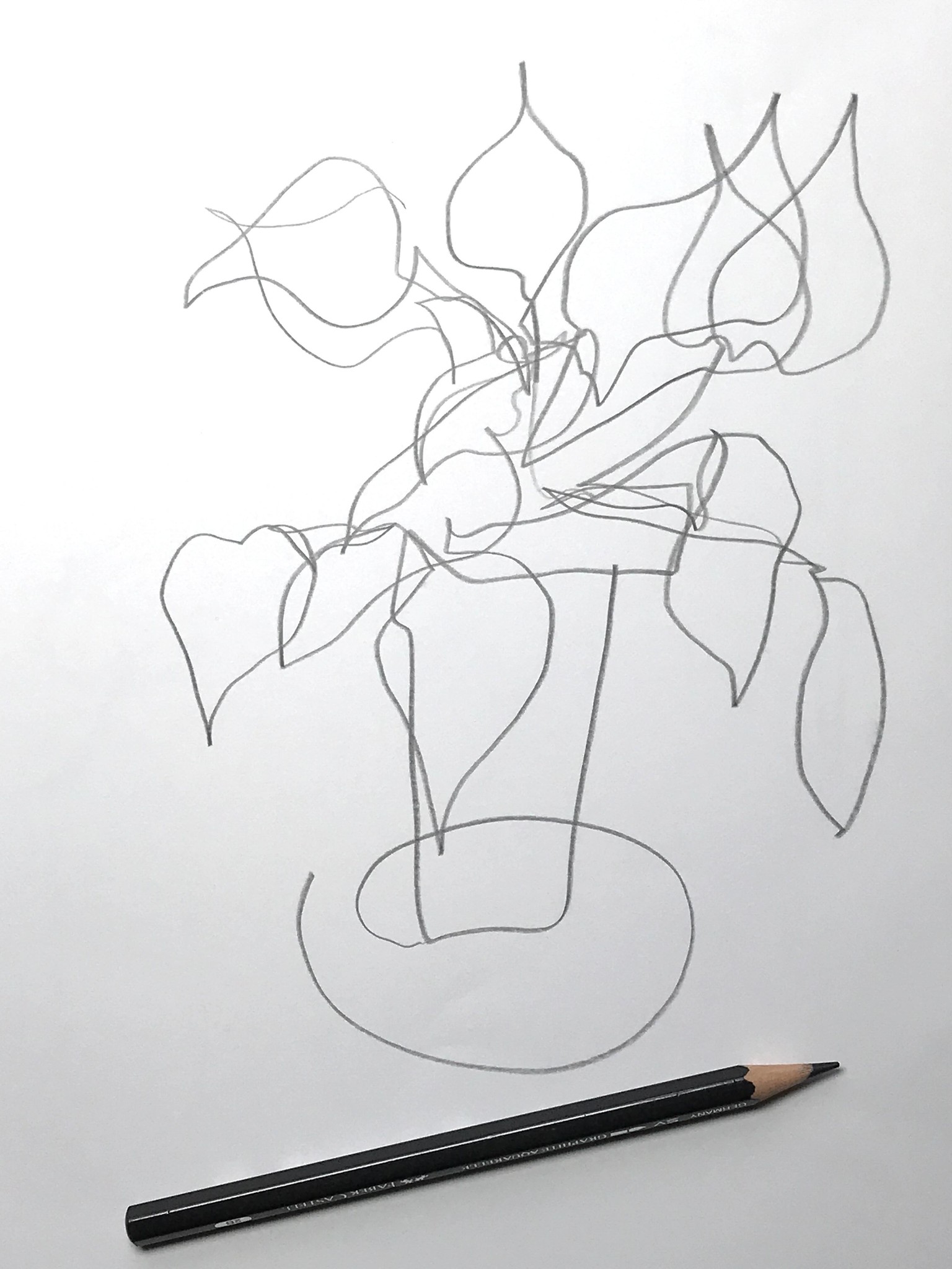 My blind contour drawings - image 4 - student project