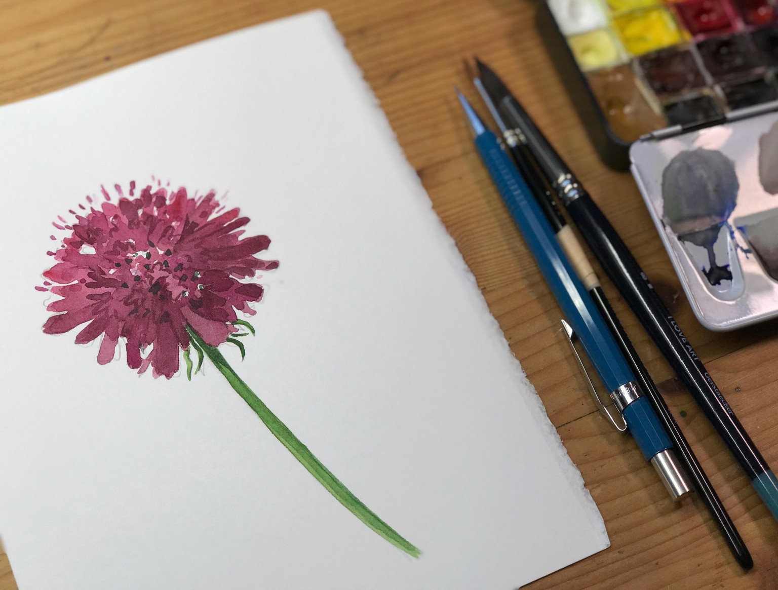 Loose but precise watercolor flowers - image 2 - student project