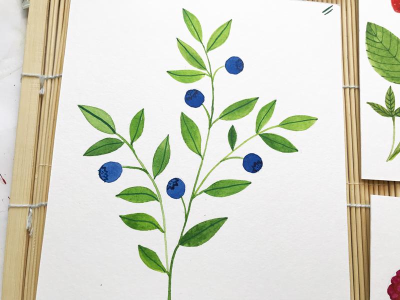 3 different berries in watercolor + ink - image 2 - student project