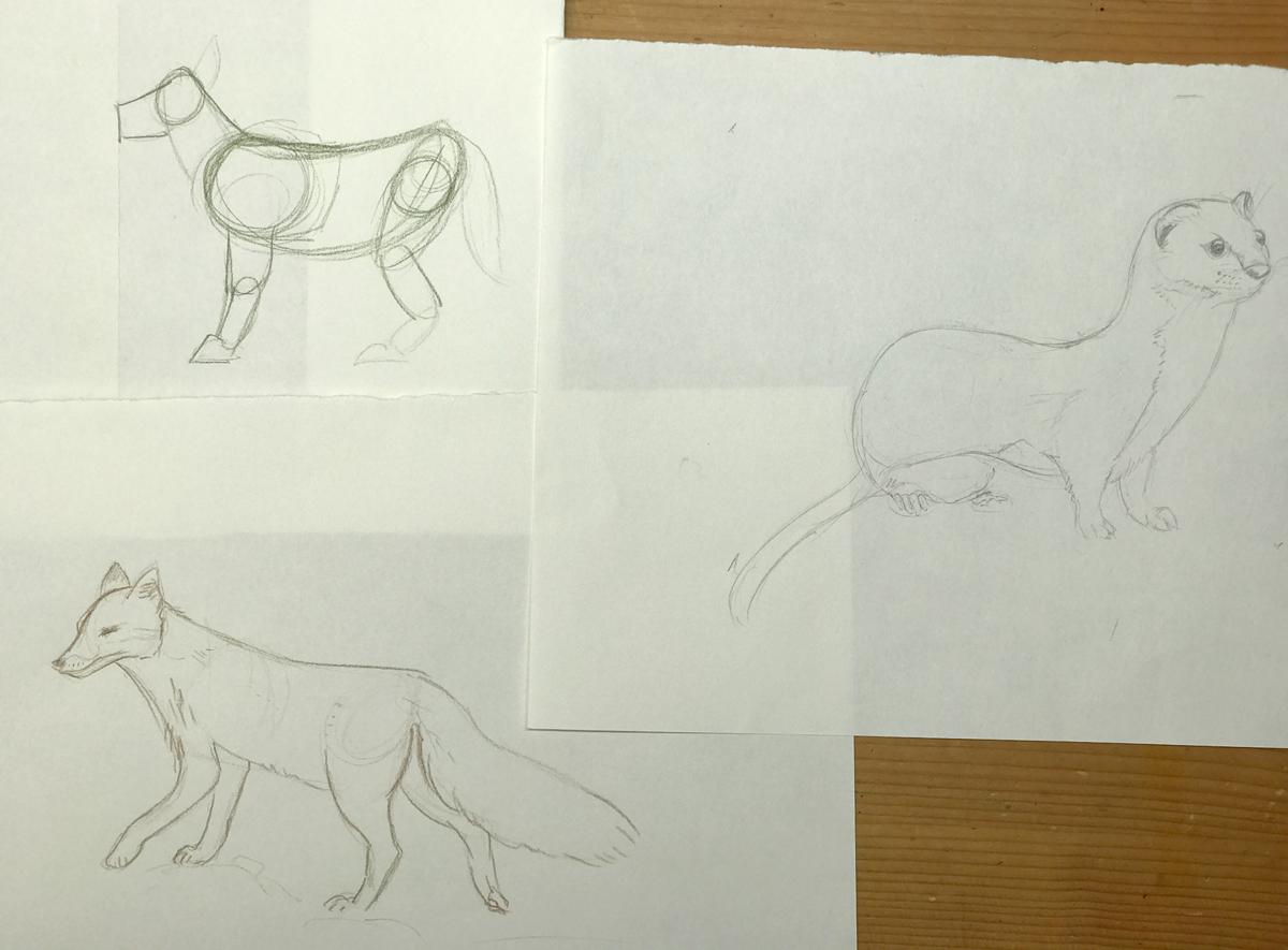 Sketching nature exercises + demos - image 26 - student project