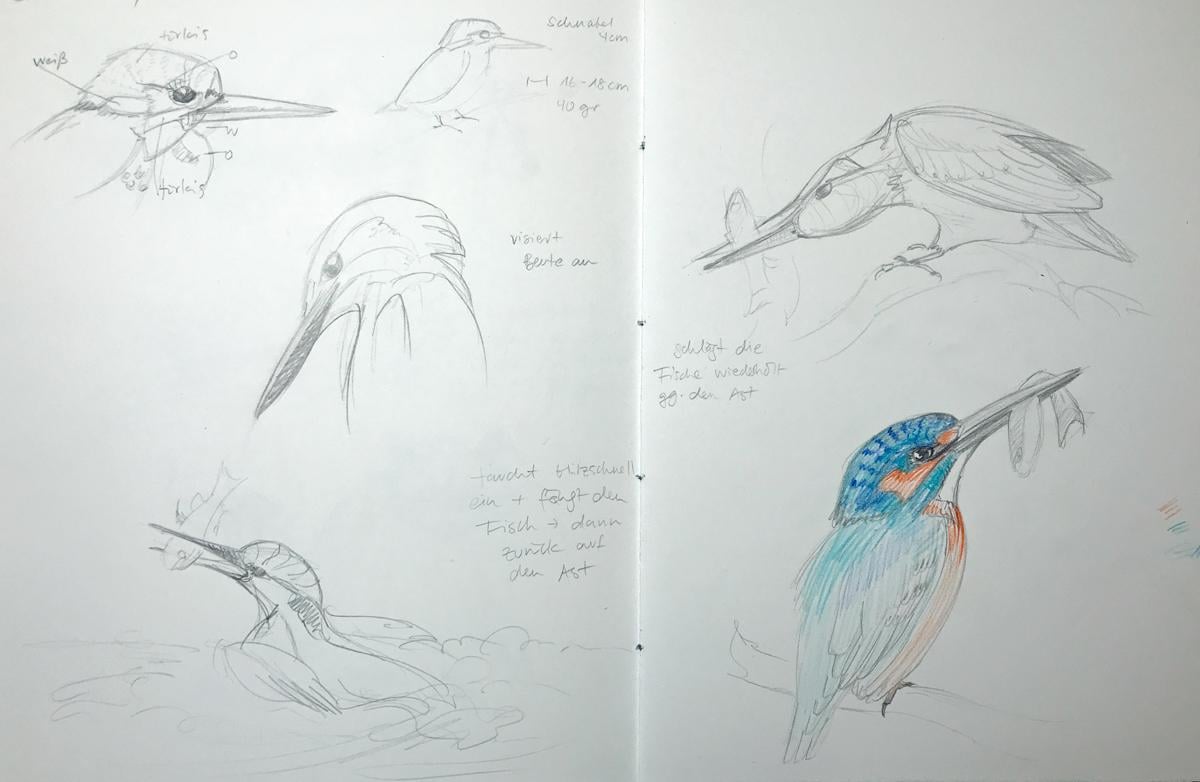 Sketching nature exercises + demos - image 18 - student project