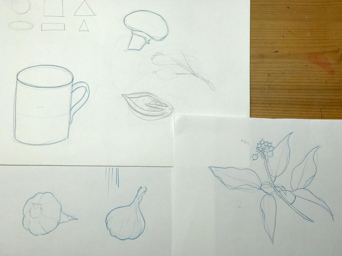 Sketching nature exercises + demos - image 3 - student project