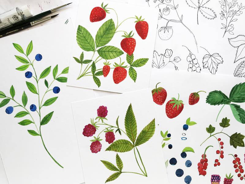 3 different berries in watercolor + ink - image 1 - student project