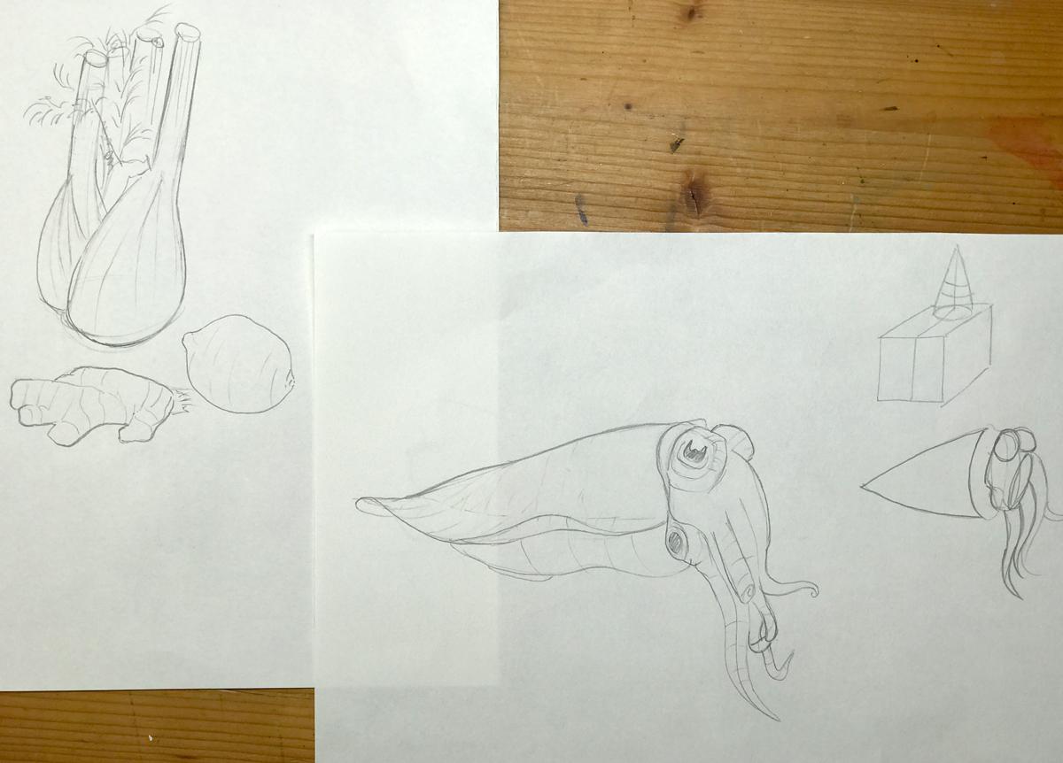 Sketching nature exercises + demos - image 15 - student project