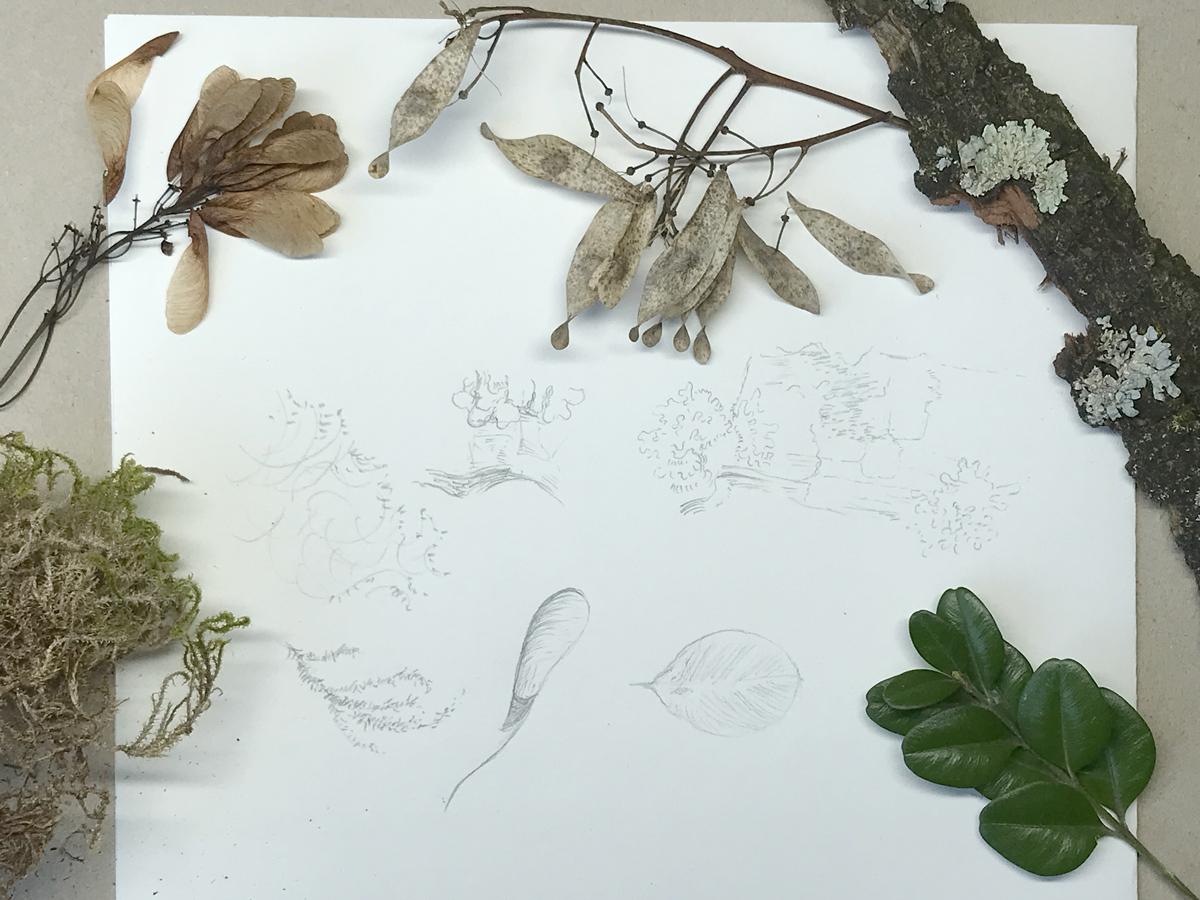 Sketching nature exercises + demos - image 14 - student project