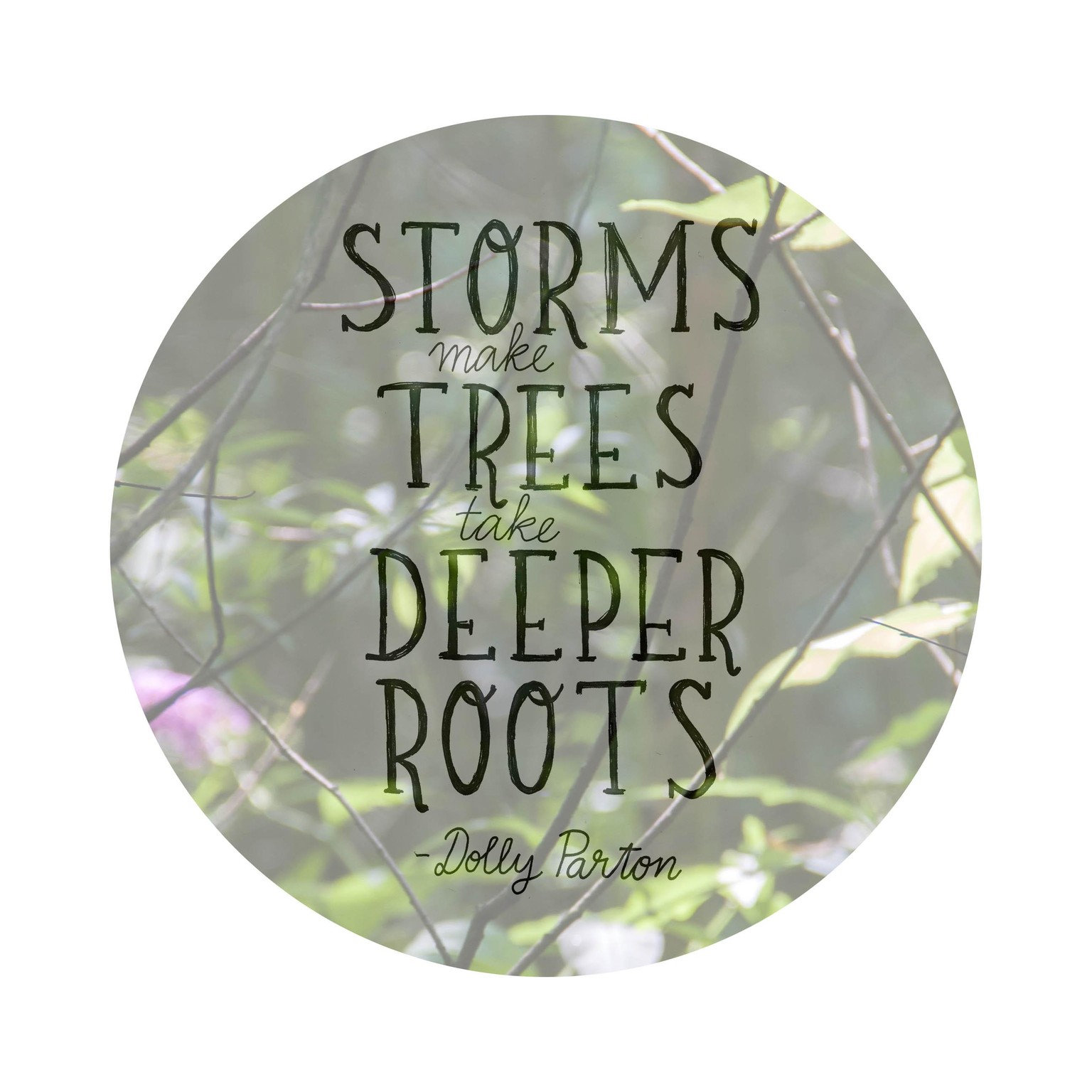 Quote over photo - image 1 - student project