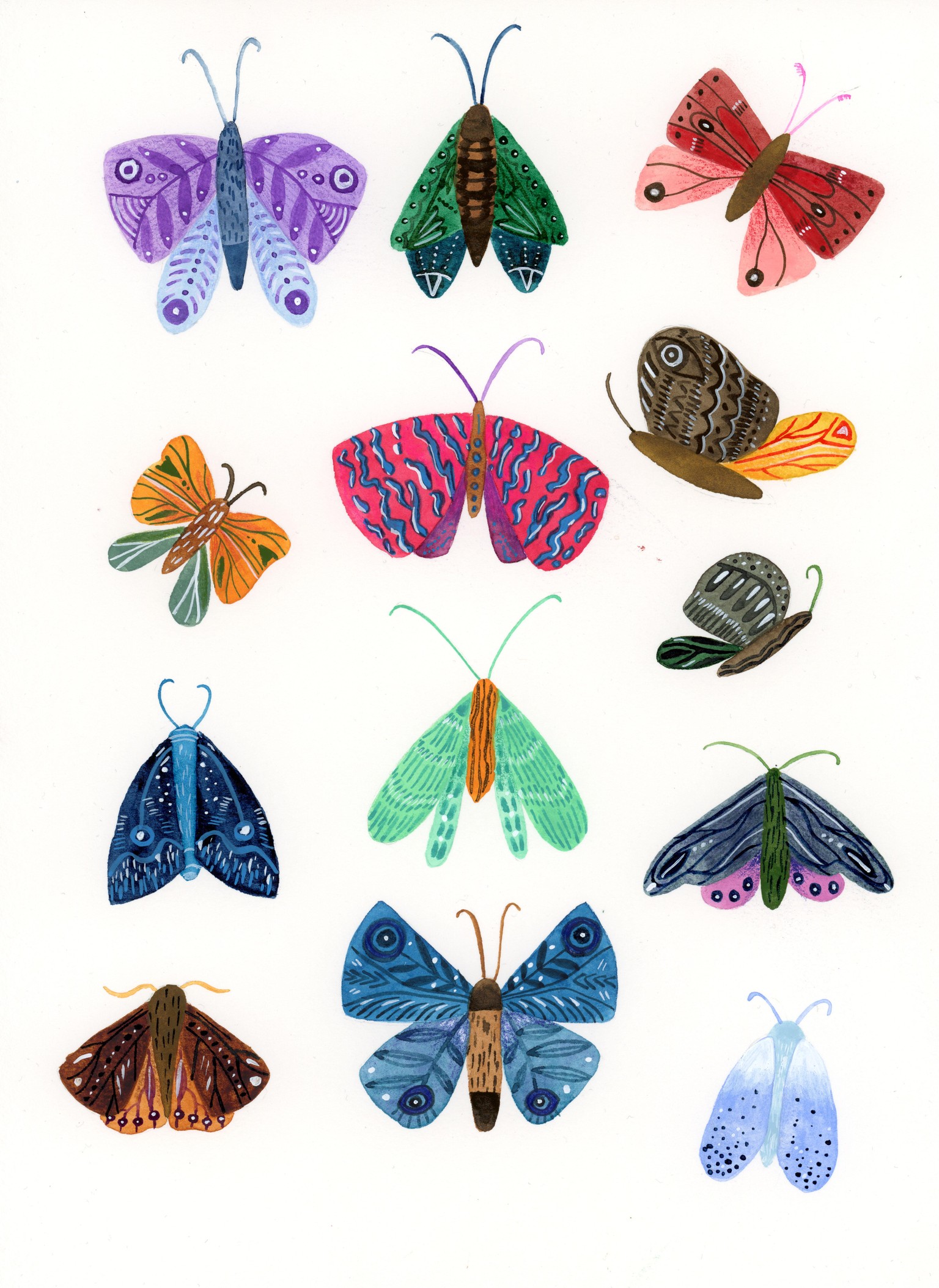 Moths and butterflies - image 1 - student project