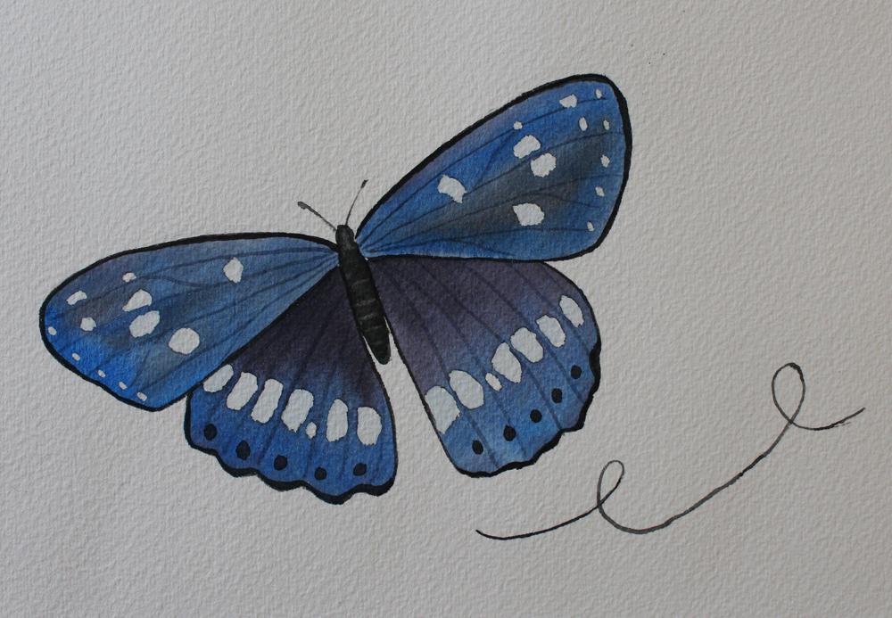 Watercolor Butterflies  - image 3 - student project