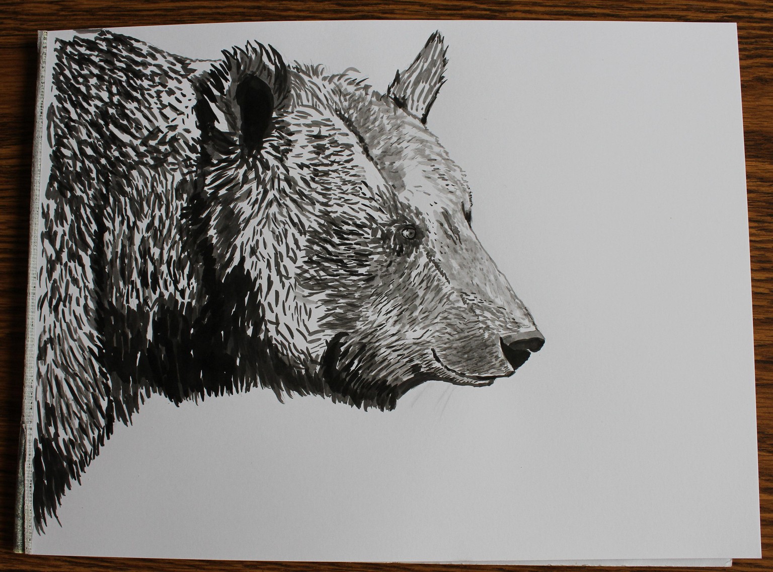 Ink Portraits of Wild Animals/different approaches - image 3 - student project