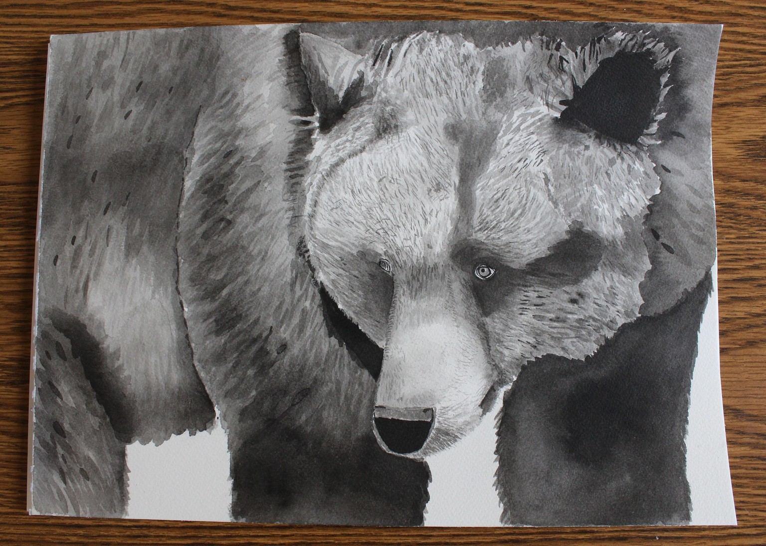 Ink Portraits of Wild Animals/different approaches - image 8 - student project