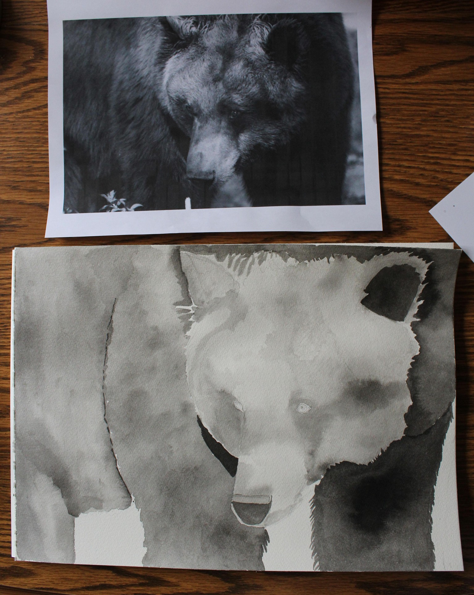 Ink Portraits of Wild Animals/different approaches - image 7 - student project