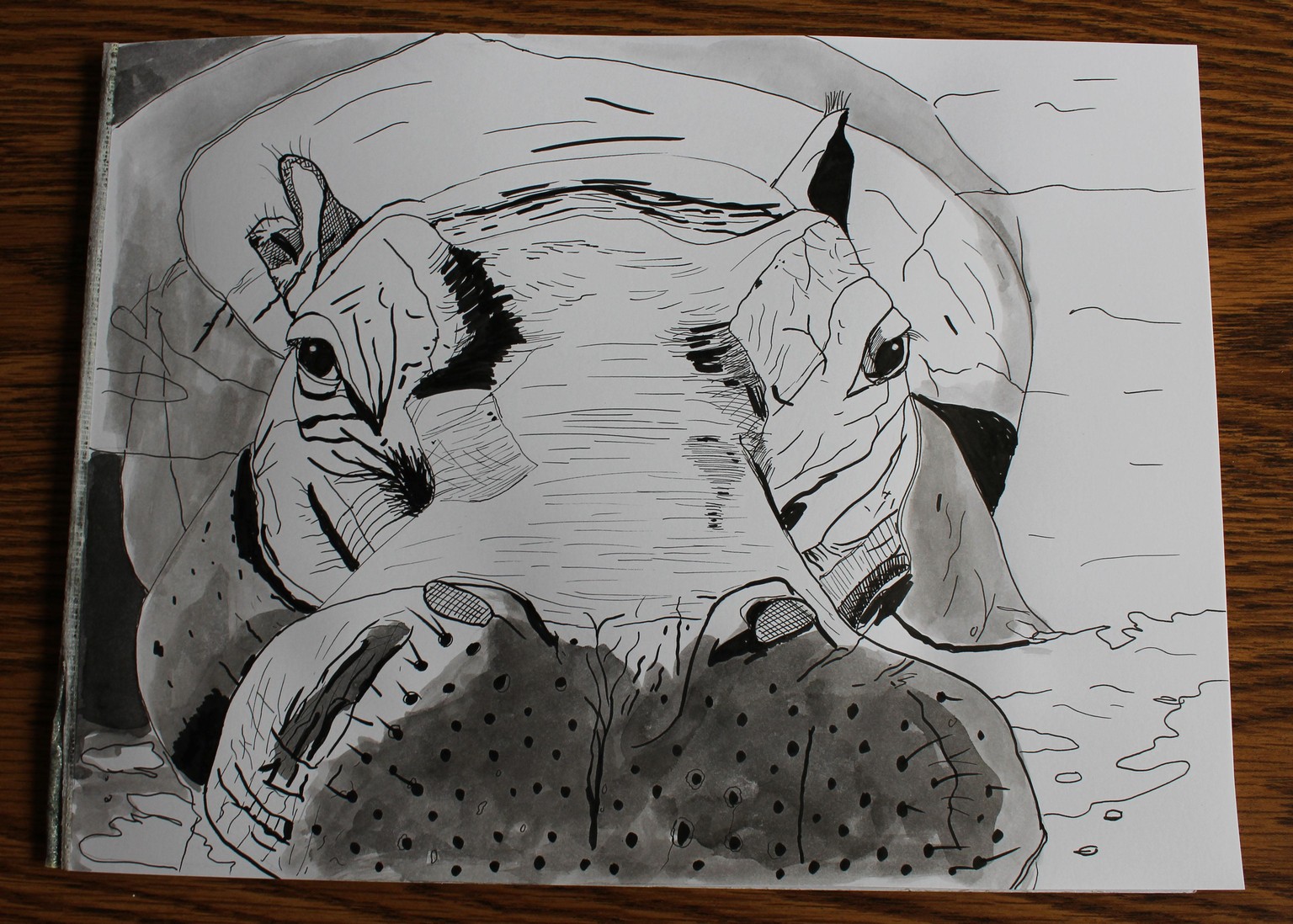 Ink Portraits of Wild Animals/different approaches - image 6 - student project