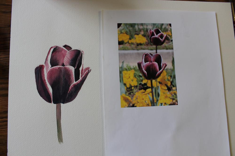 Detailed flower in watercolor - image 1 - student project
