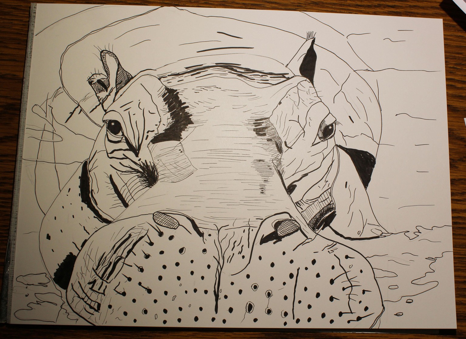 Ink Portraits of Wild Animals/different approaches - image 5 - student project