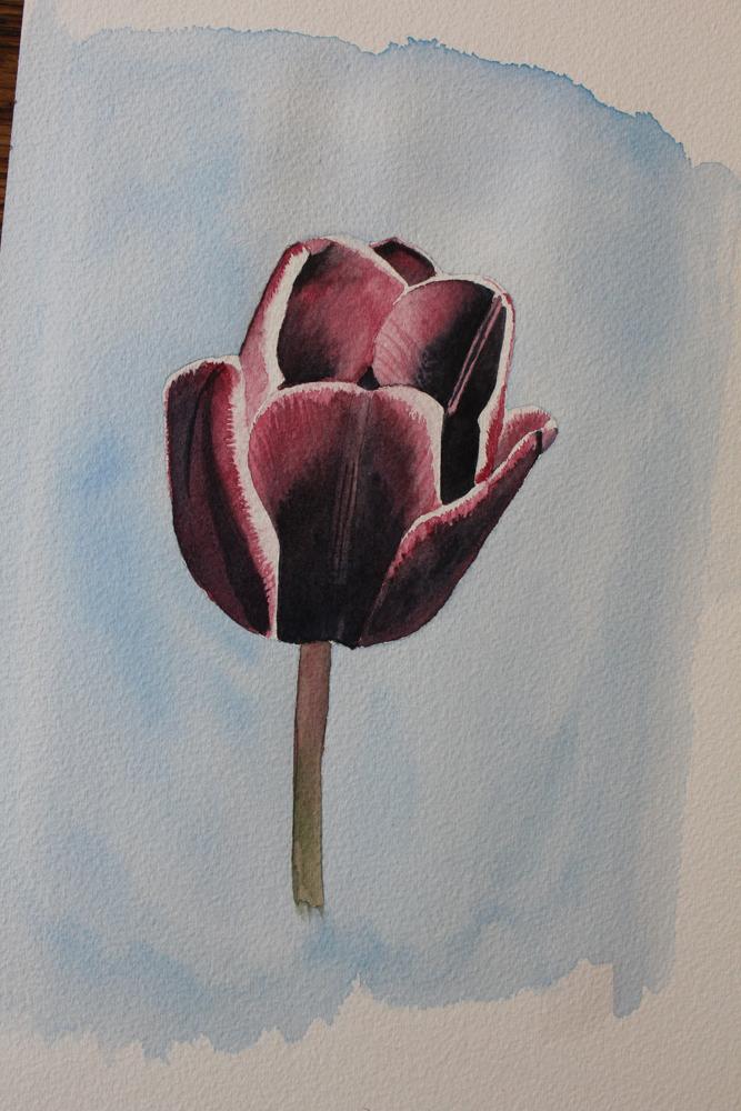 Detailed flower in watercolor - image 2 - student project
