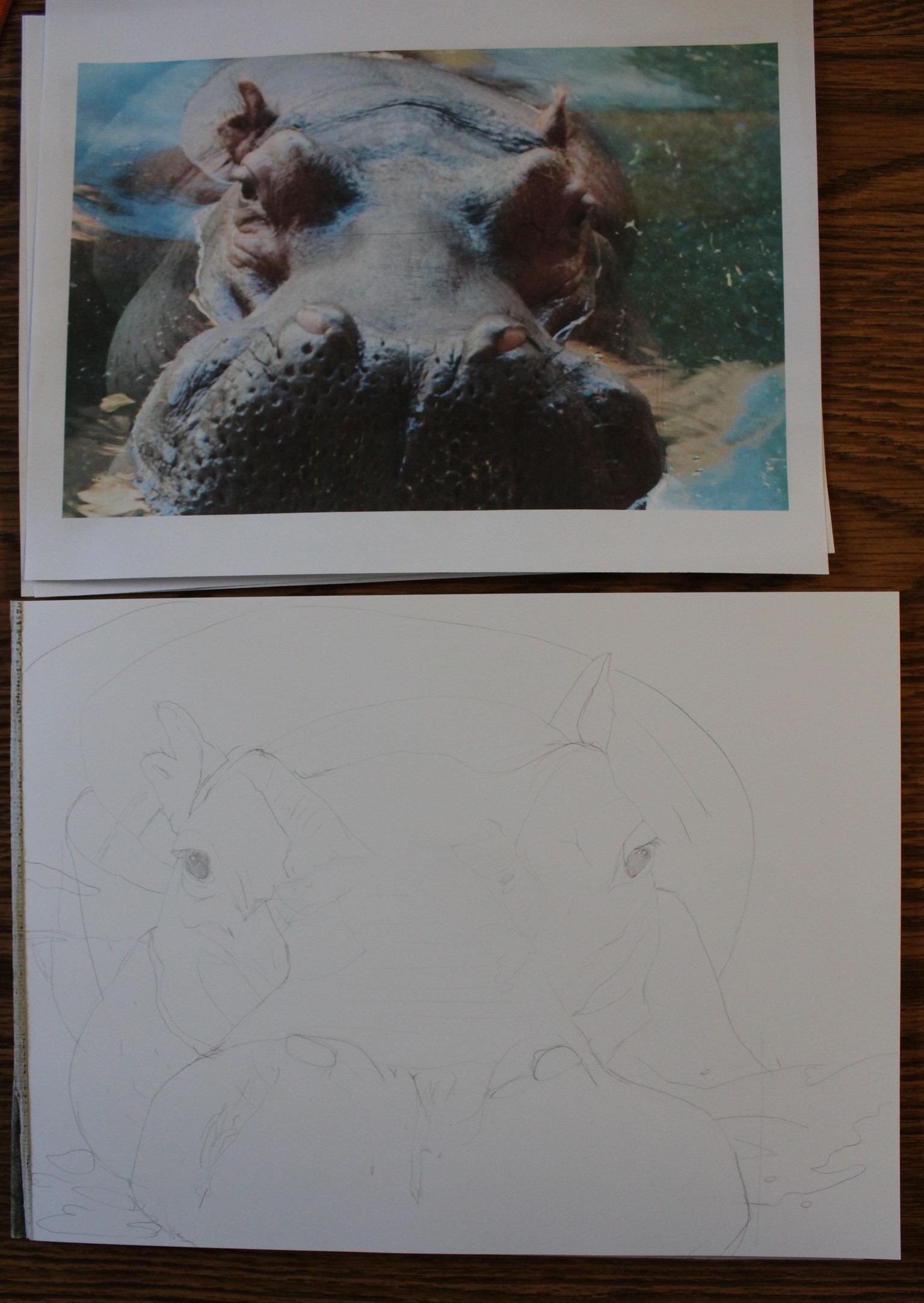 Ink Portraits of Wild Animals/different approaches - image 4 - student project