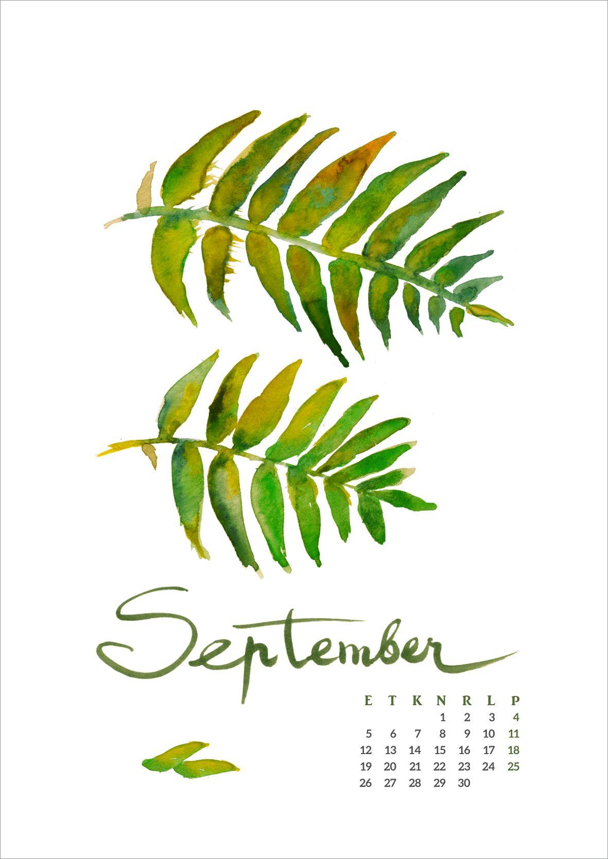 Watercolour calendar - image 9 - student project