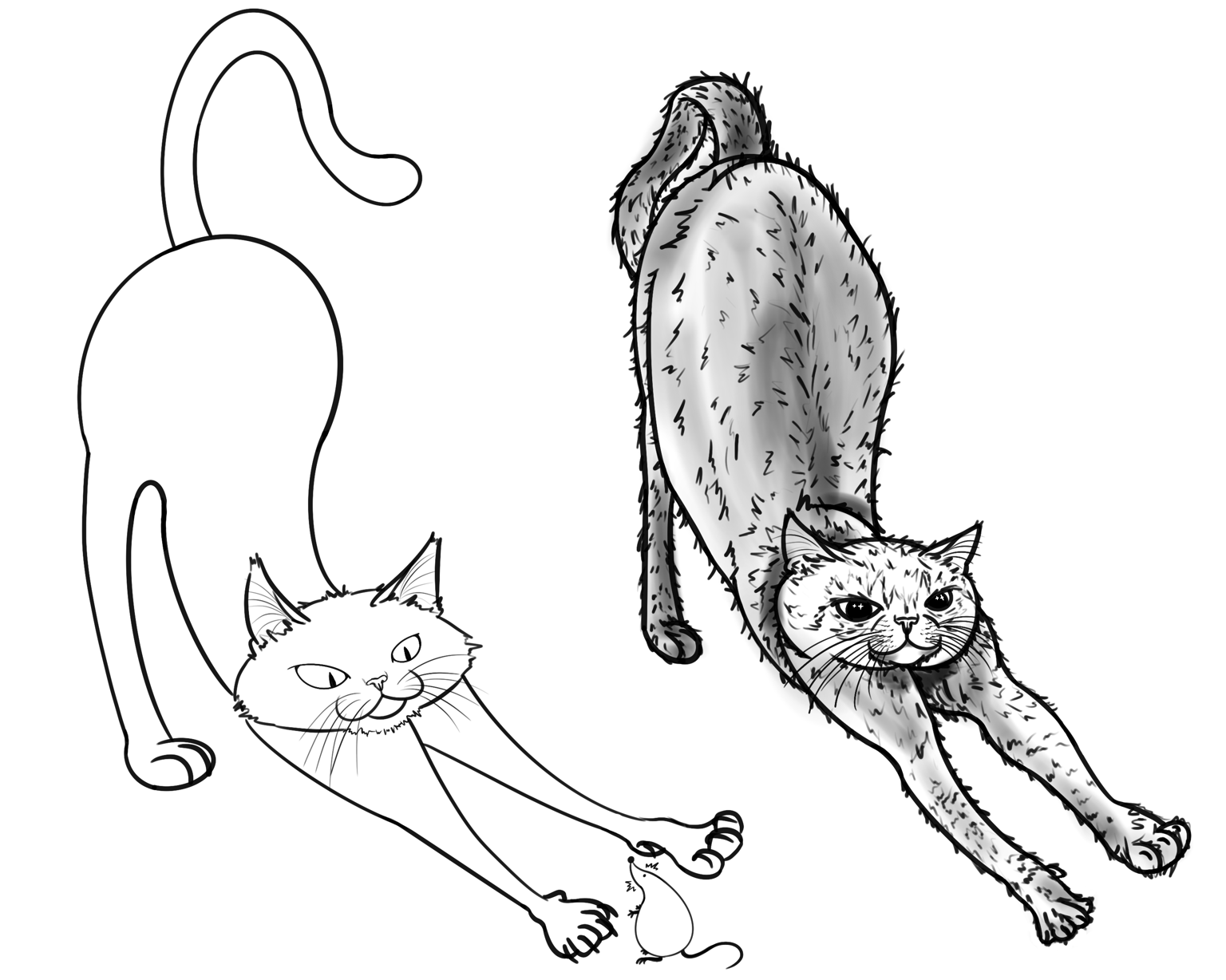 Cats! - image 1 - student project