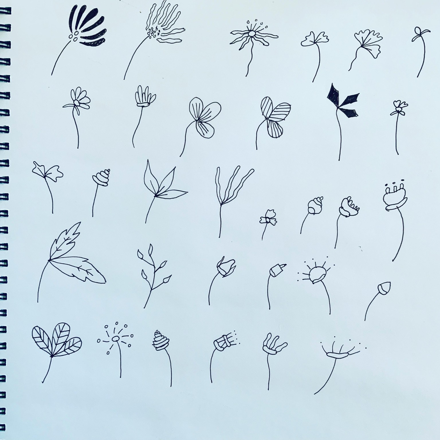 Whimsical flower drawings - image 1 - student project