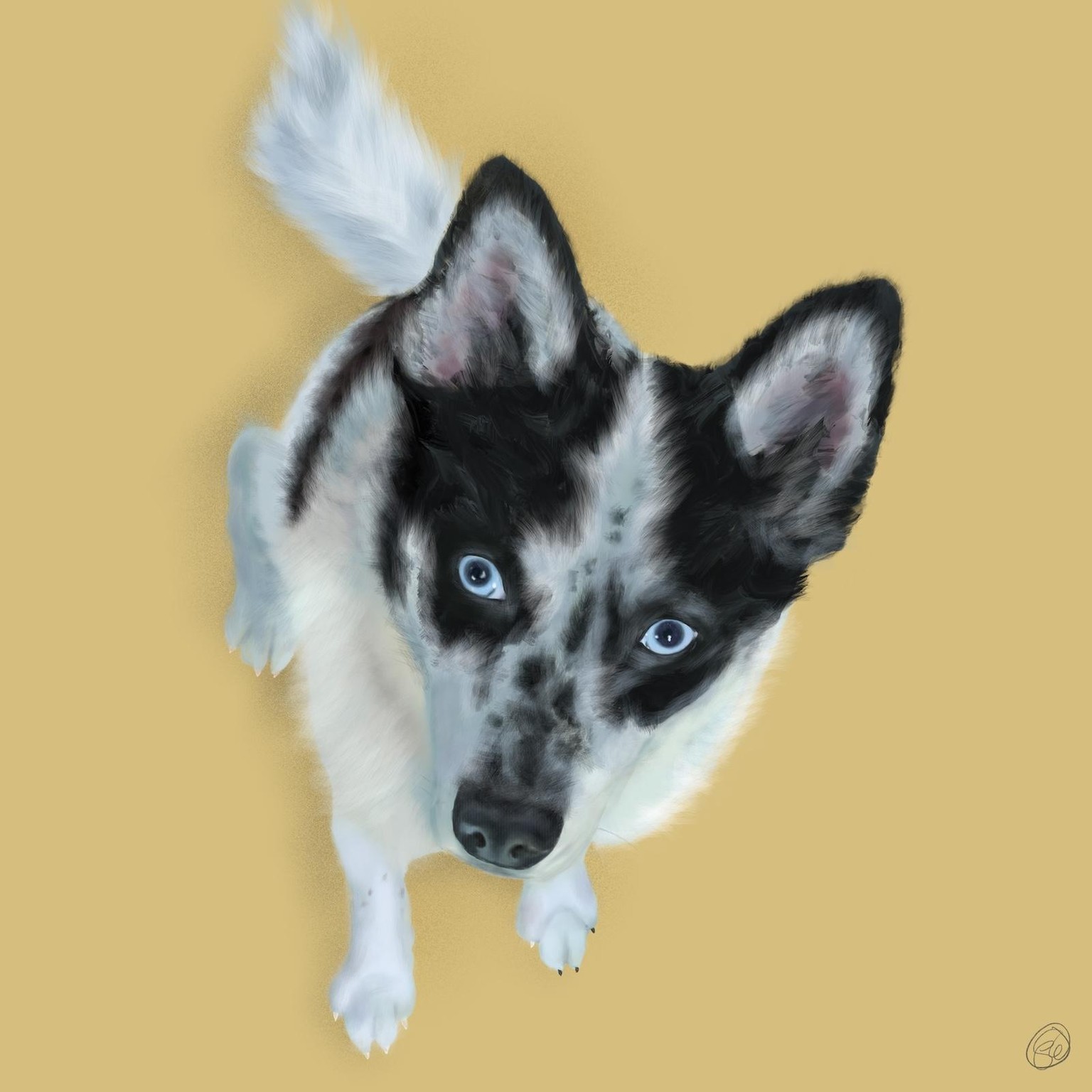 Rocky Dog Portrait - image 1 - student project