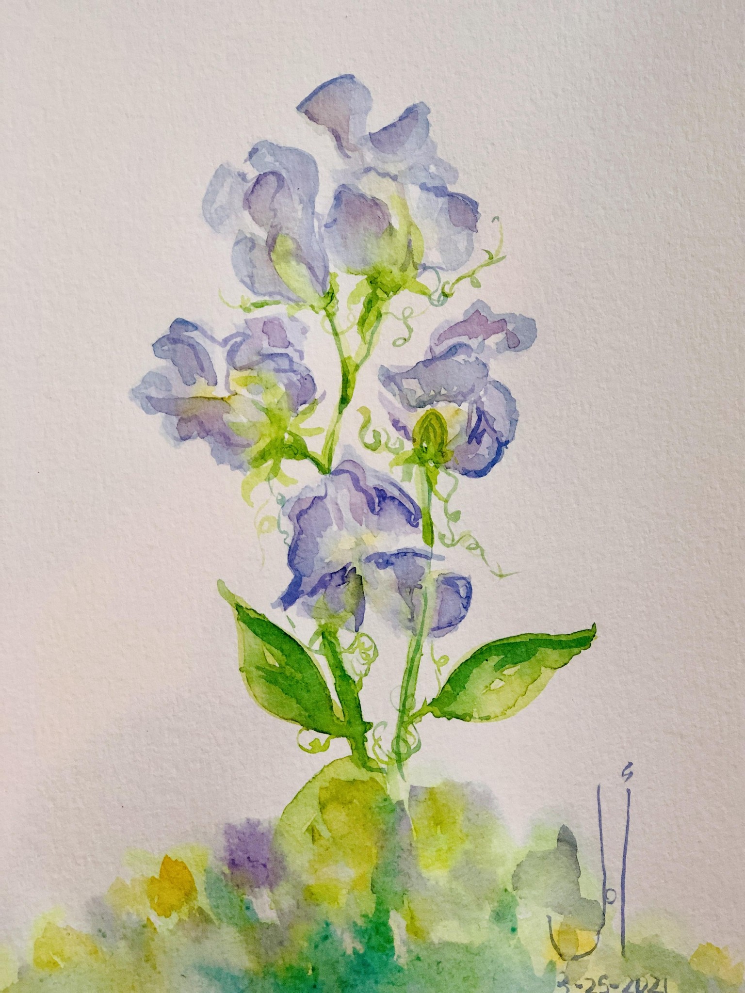 My take on Sweet Peas - image 1 - student project