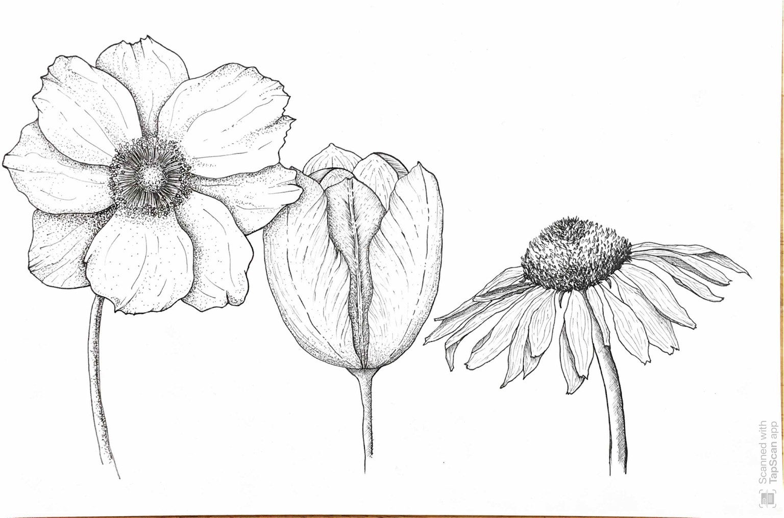 Flowers :) - image 1 - student project