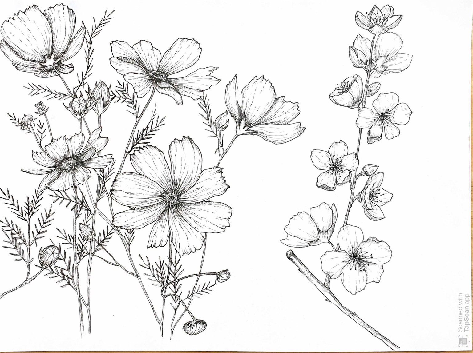 more flowers :) - image 1 - student project
