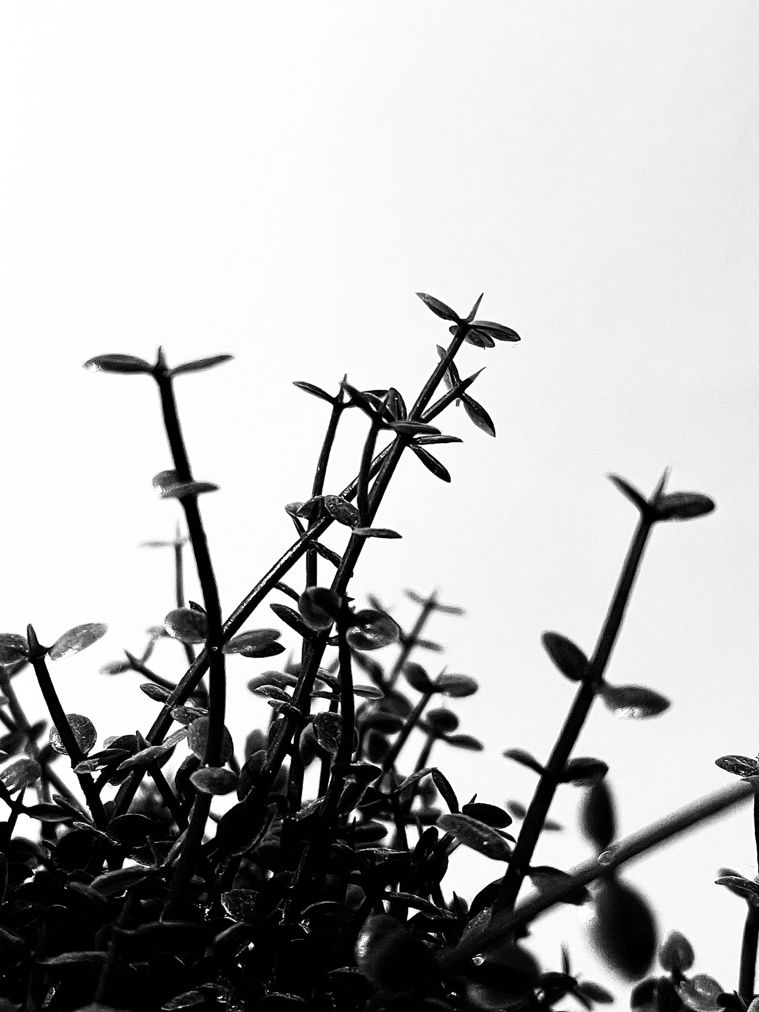 Finding Rythm - image 3 - student project