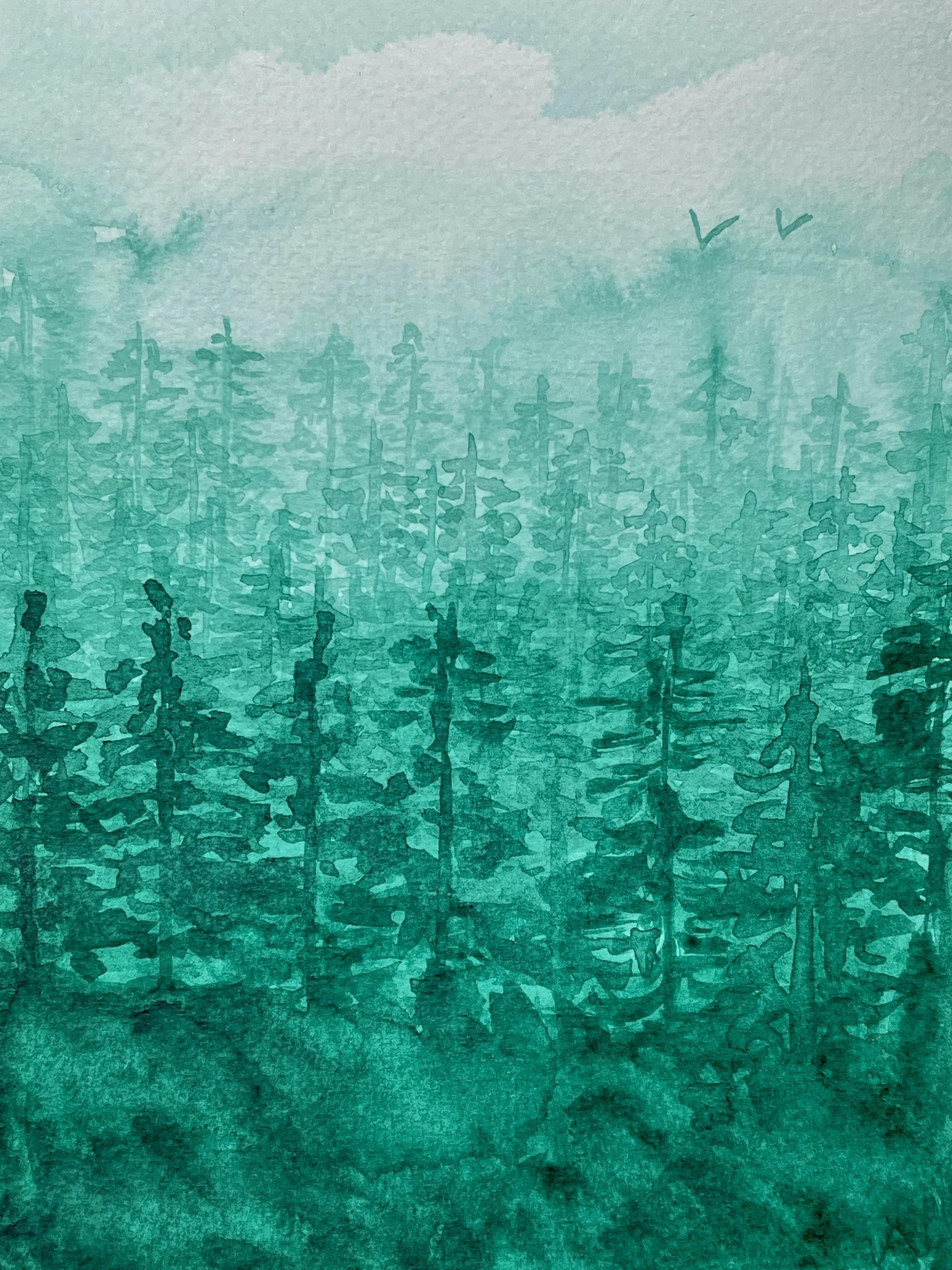 Monochromer Wald - image 2 - student project