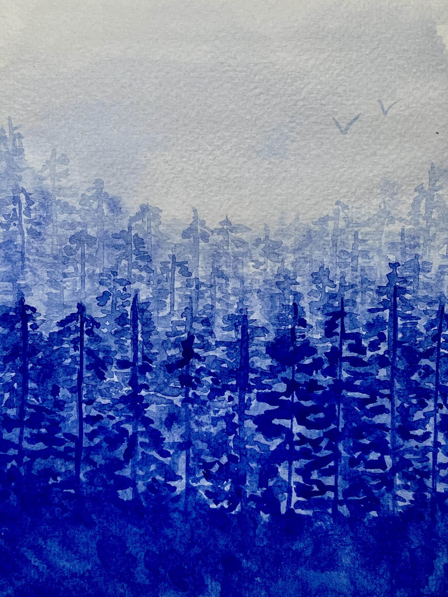 Monochromer Wald - image 3 - student project