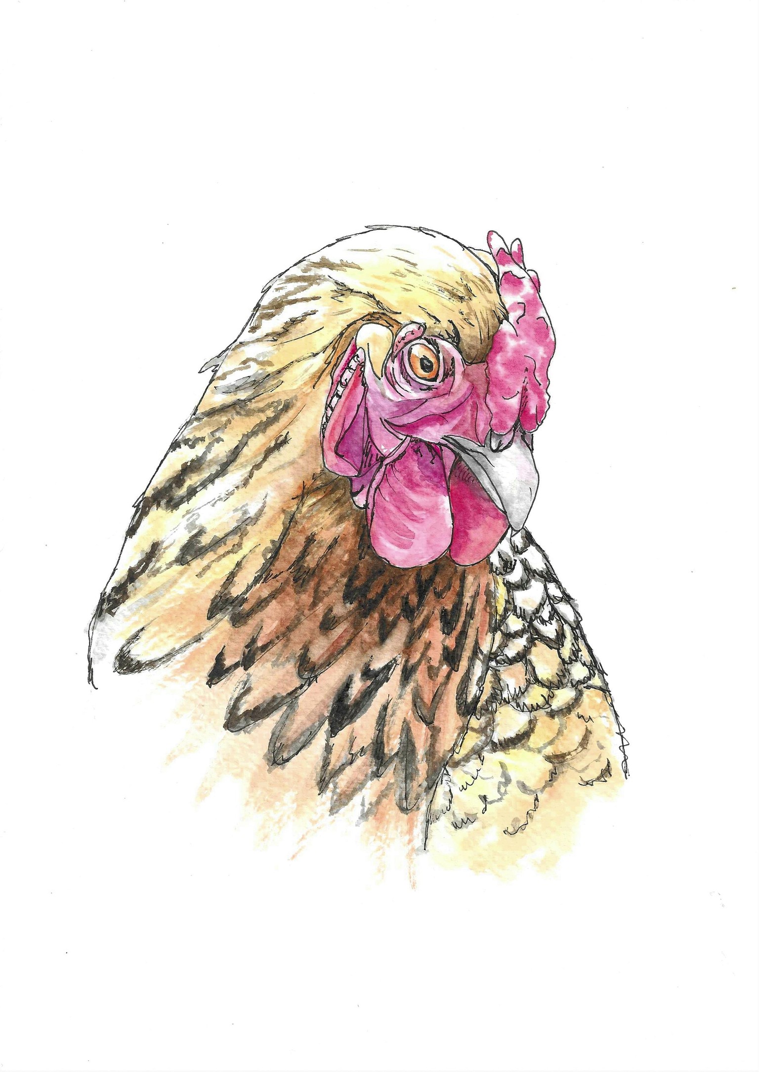 Abigail and others - image 3 - student project