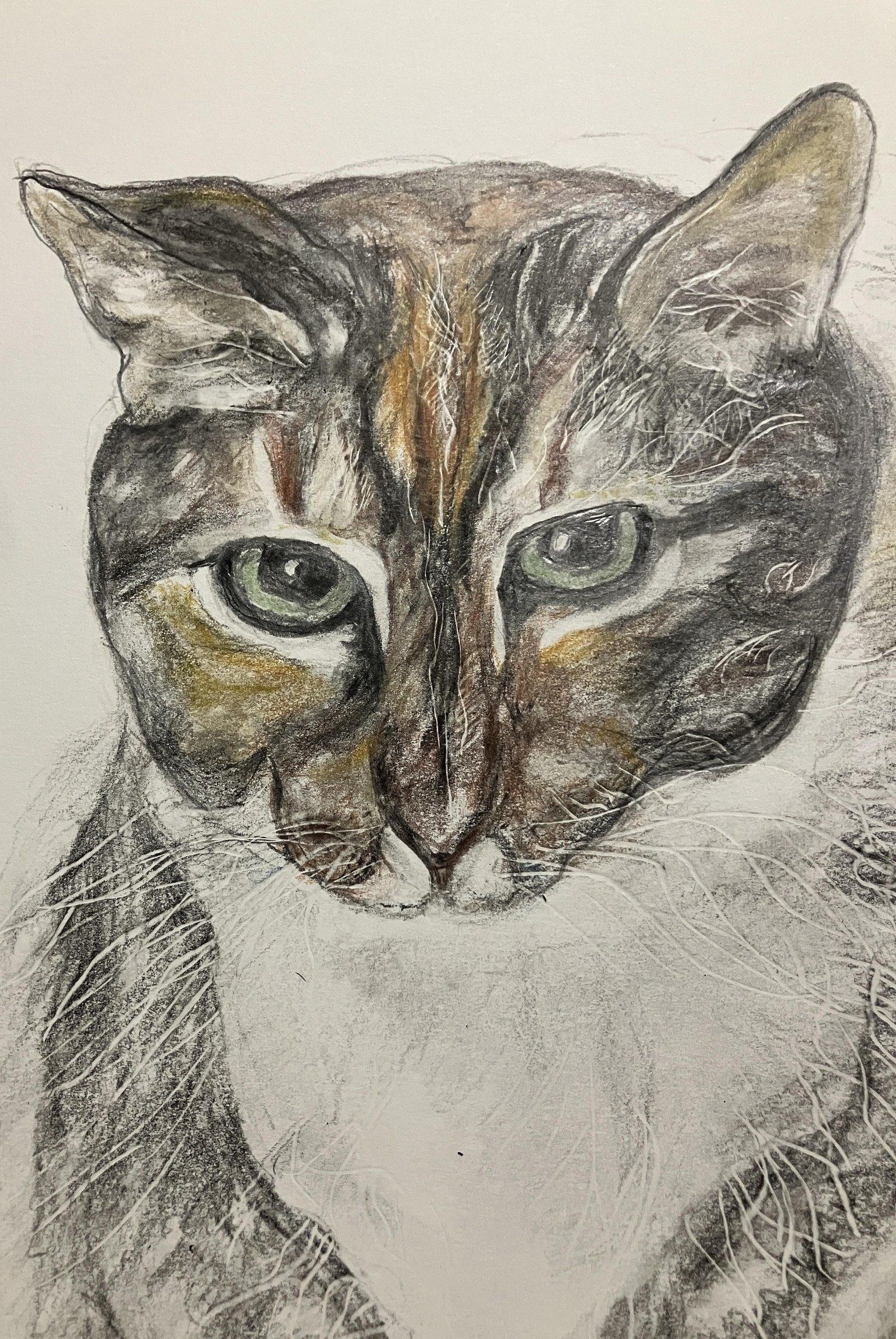 Art of Texturing Animal Fur - image 3 - student project