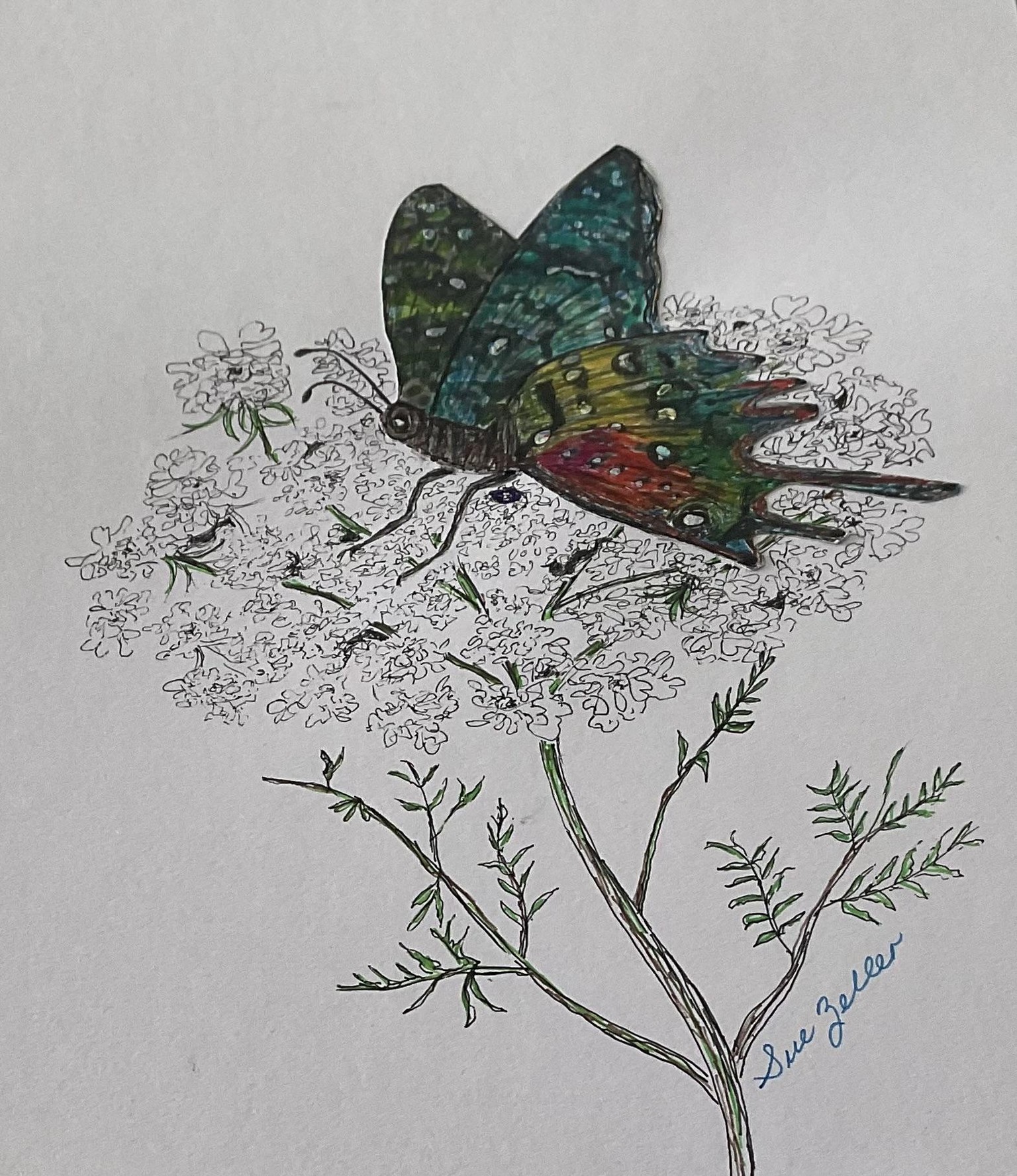 Nature Journal: Drawing Ideas for Summer - image 1 - student project