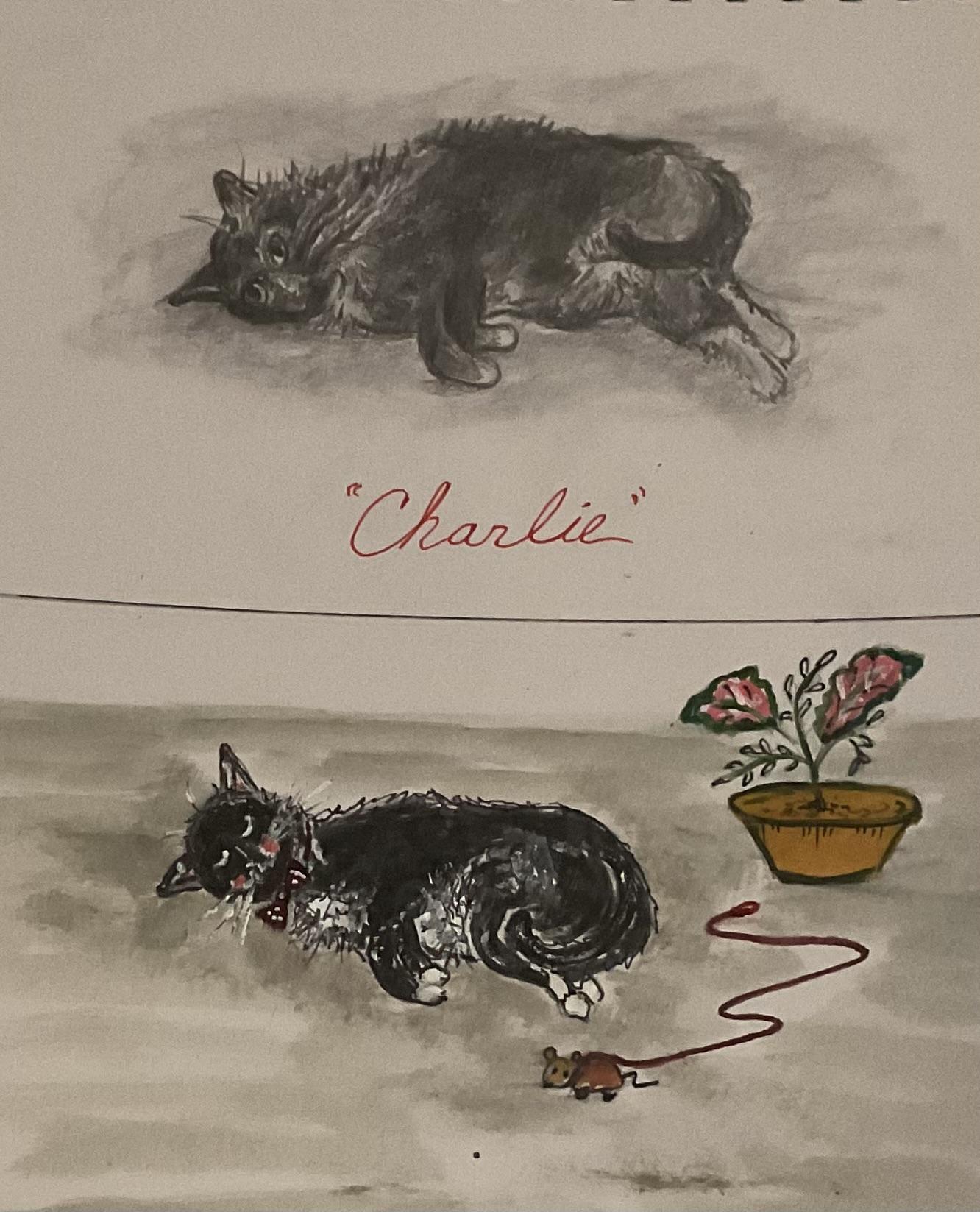 Develop Your Own Illustration Style: Draw a Cat - image 1 - student project